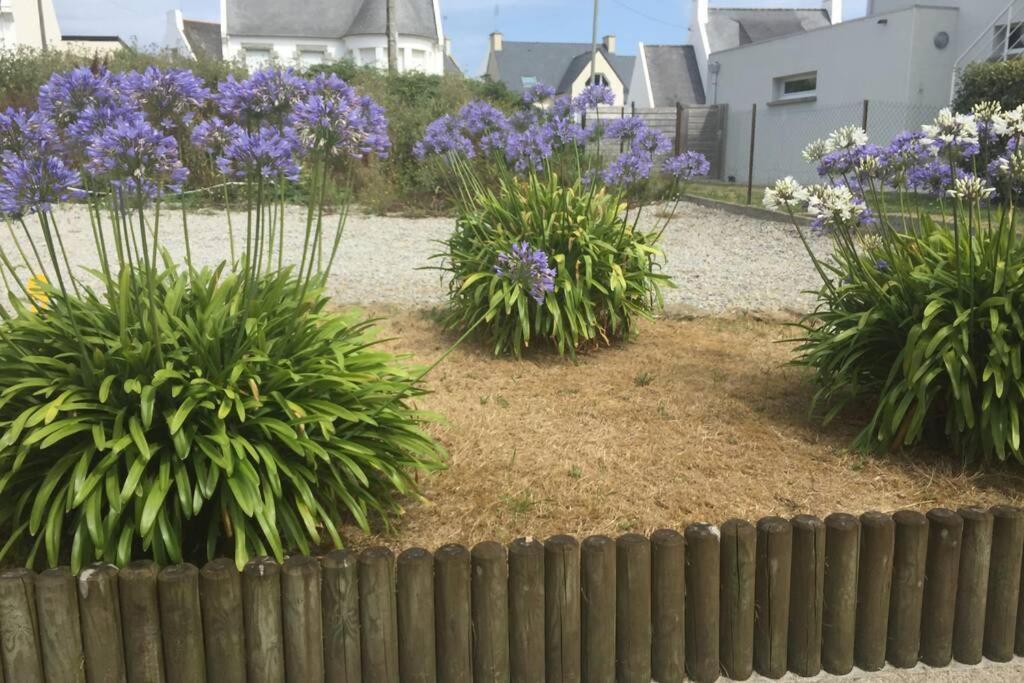 Pied A Terre Pour Des Vacances Au Bord De La Mer Le Conquet Bagian luar foto